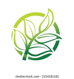 green leaf logo template vector design