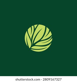 Green leaf logo template vector design. Initial Letter O with leaf luxury logo