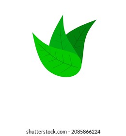 logotipo de hoja verde con tres hojas verdes con tres colores verdes diferentes. muy adecuado para ambientes ecológicos o para la naturaleza