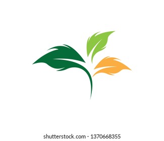 Green leaf logo vector