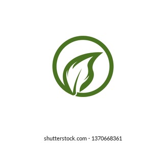 Green leaf logo vector