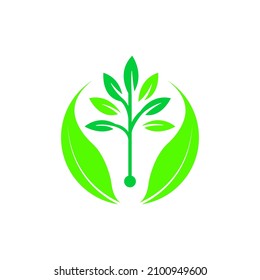 green leaf logo vector concept