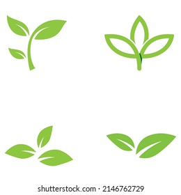 Logo de la hoja verde. Diseño vectorial de jardines, plantas y naturaleza.