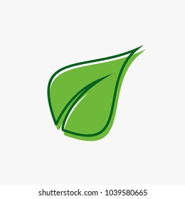 Green leaf logo vector illustration.