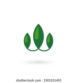 Green leaf logo vector Illustration design template