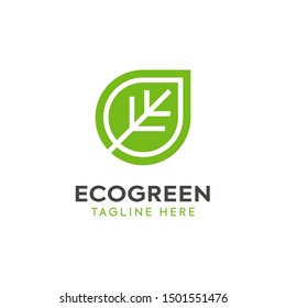 Green leaf logo vector Illustration design template