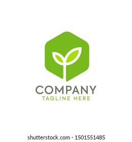 Green leaf logo vector Illustration design template