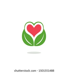 Green leaf logo vector Illustration design template