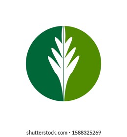 Green Leaf Logo Vector Illustration Design