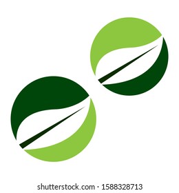 Green Leaf Logo Vector Illustration design