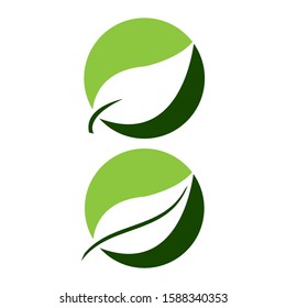 Green Leaf Logo Vector Illustration Design