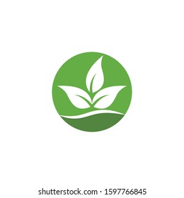 green leaf logo vector illustration
