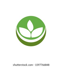 green leaf logo vector illustration
