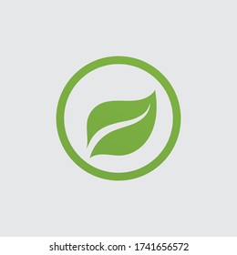 green leaf logo vector illustration 