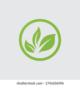 green leaf logo vector illustration 