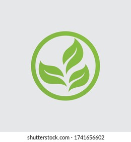green leaf logo vector illustration 