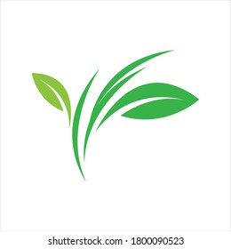 plantilla de diseño de ilustración de vector con logotipo de hoja verde