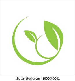 green leaf logo vector illustration design template