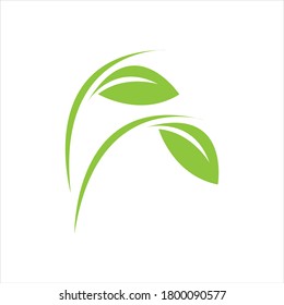green leaf logo vector illustration design template