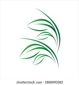 green leaf logo vector illustration design template