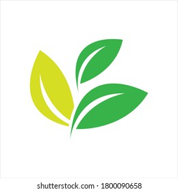 green leaf logo vector illustration design template