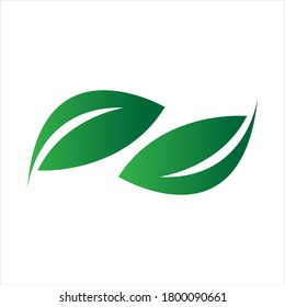 green leaf logo vector illustration design template
