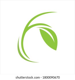 green leaf logo vector illustration design template