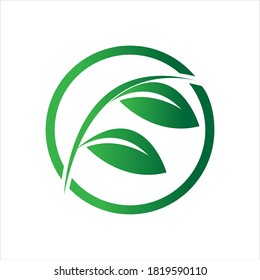 green leaf logo vector illustration design template