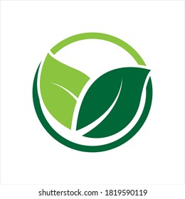 green leaf logo vector illustration design template