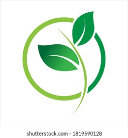 plantilla de diseño de ilustración de vector con logotipo de hoja verde