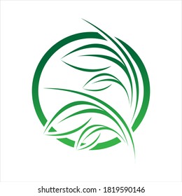 plantilla de diseño de ilustración de vector con logotipo de hoja verde