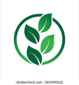 green leaf logo vector illustration design template