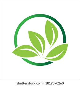 green leaf logo vector illustration design template