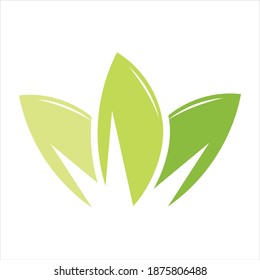 green leaf logo vector illustration design template
