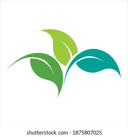 green leaf logo vector illustration design template
