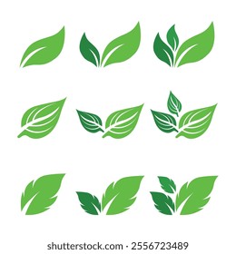 Green Leaf Logo Vector Illustration