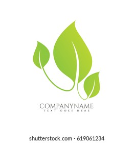 Green Leaf Logo Vector Illustration.
