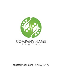 Green leaf logo vector image