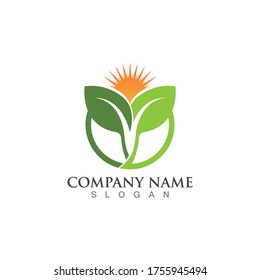 Green leaf logo vector image