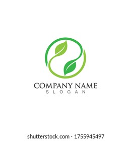 Green leaf logo vector image