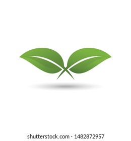 green leaf logo vector isolated white background