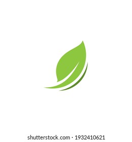 Green leaf logo vector  natural icon