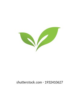 Green leaf logo vector  natural icon