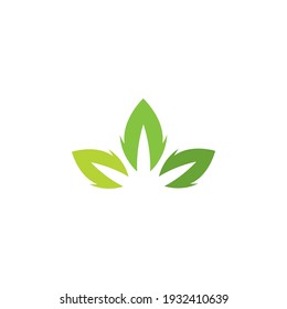 Green leaf logo vector  natural icon