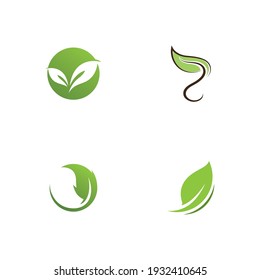 Green Leaf Logo Vector  Natural Icon