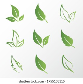 Green leaf logo vector set