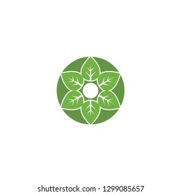 green leaf logo vector template