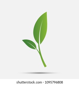 Green leaf logo,ecology nature.Vector illustration.