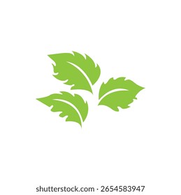 green leaf logos ecology nature element vector.eps