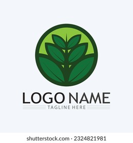 Green leaf Logos of green Tree leaf ecology nature element vector
